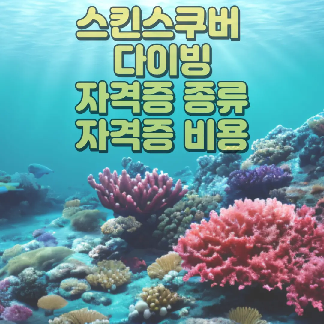 스킨스쿠버 자격증종류