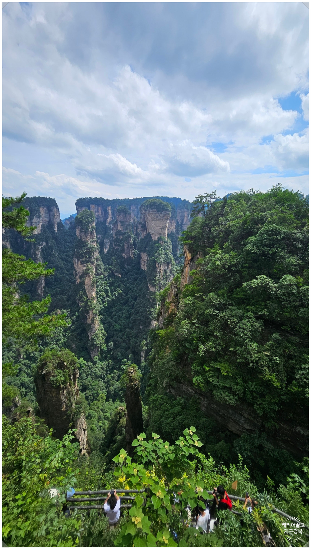 중국 장가계 원가계 아바타
