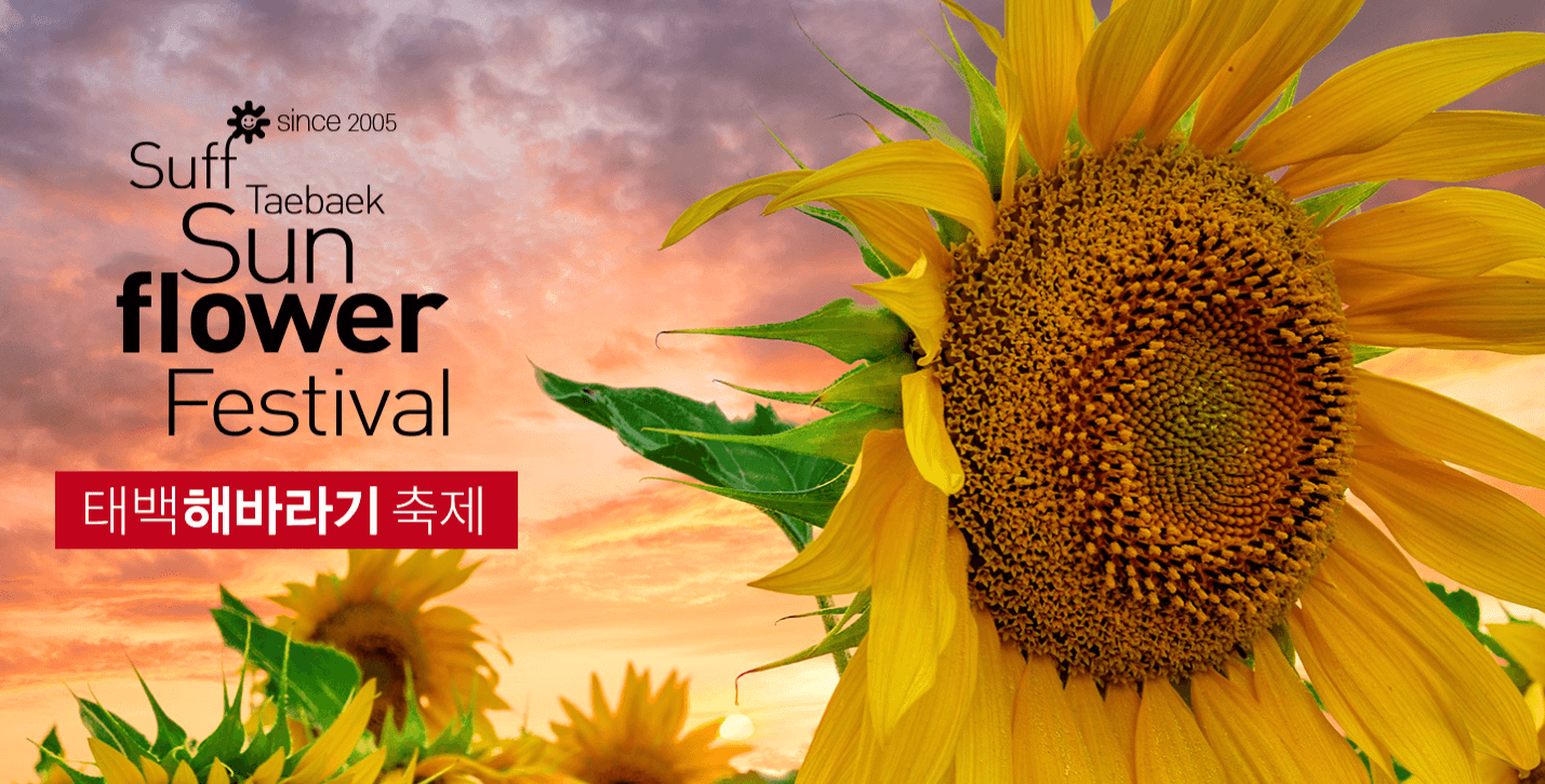 강원해바라기 축제 포스터