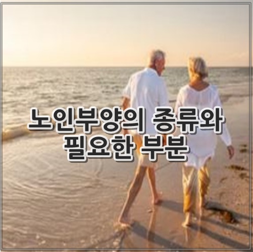 노인부양의 종류와 필요한 부분