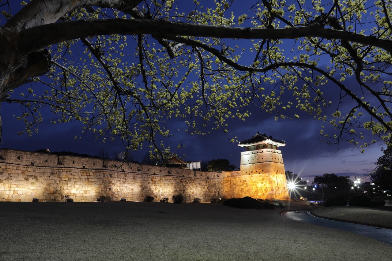 2025 구례 산수유 꽃축제