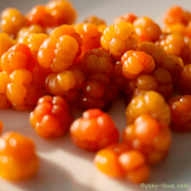 클라우드베리 효능