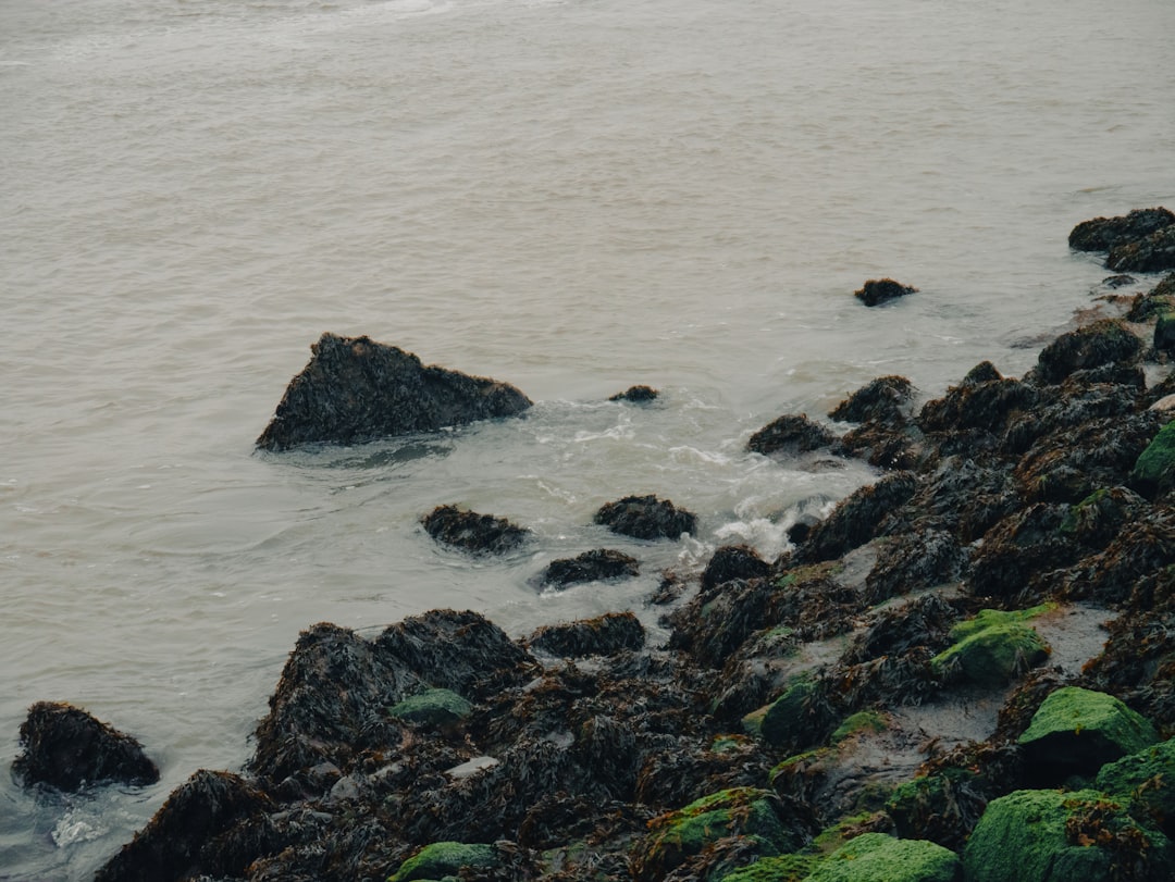 Tidal