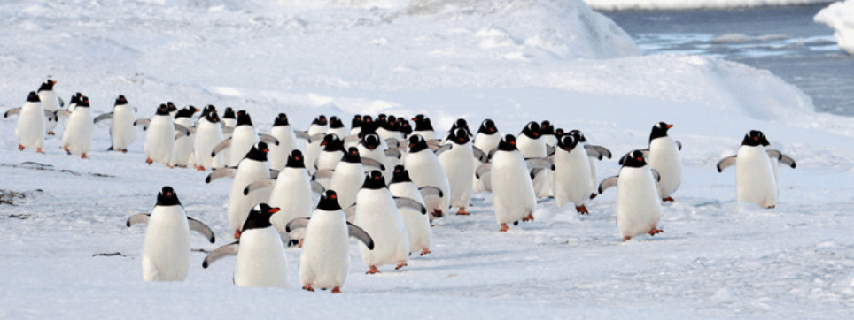 민준홍 대원 프로필