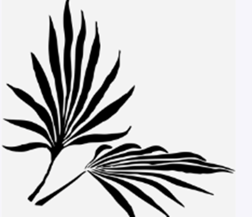 종려 나뭇잎 썸네일