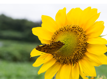 전기요금 할인 중복 받을 수 있나요? 가능한 조합 총정리