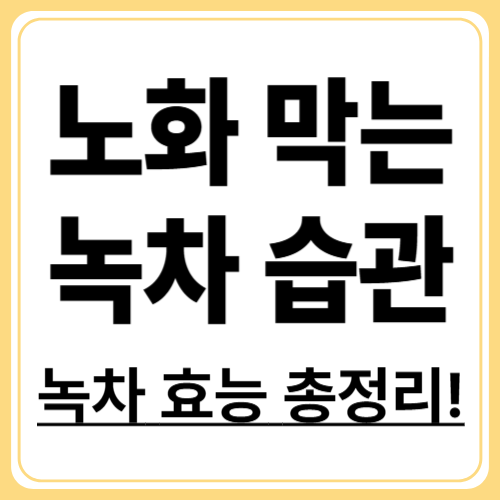 녹차로 건강한 노화 방지하기, 하루 한 잔의 습관