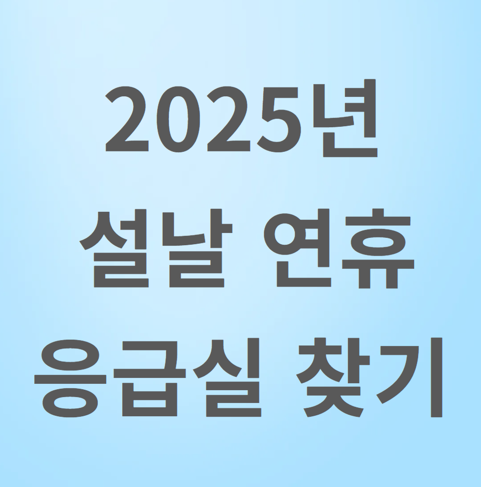 2025 셜날 연휴 응급실
