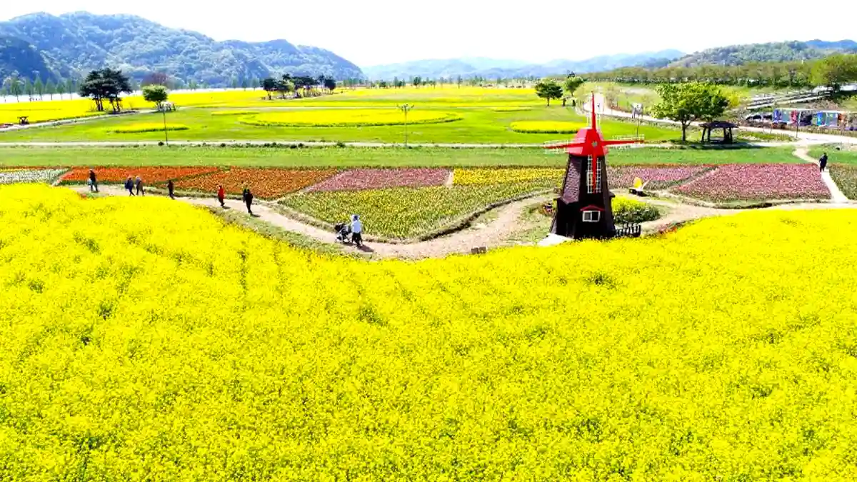 4월 부산 근교 봄축제 TOP 05 데이트 가족나들이 가볼만한곳