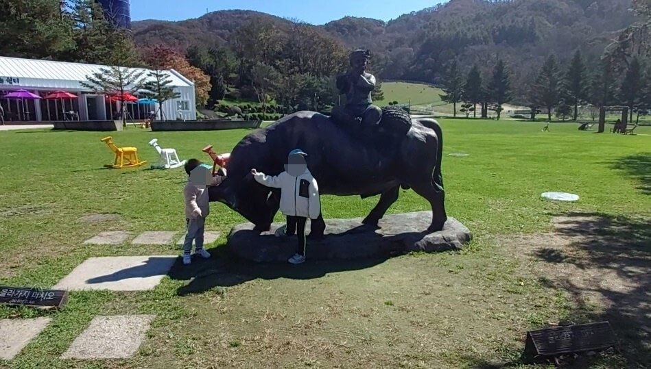 하늘목장-잔디밭