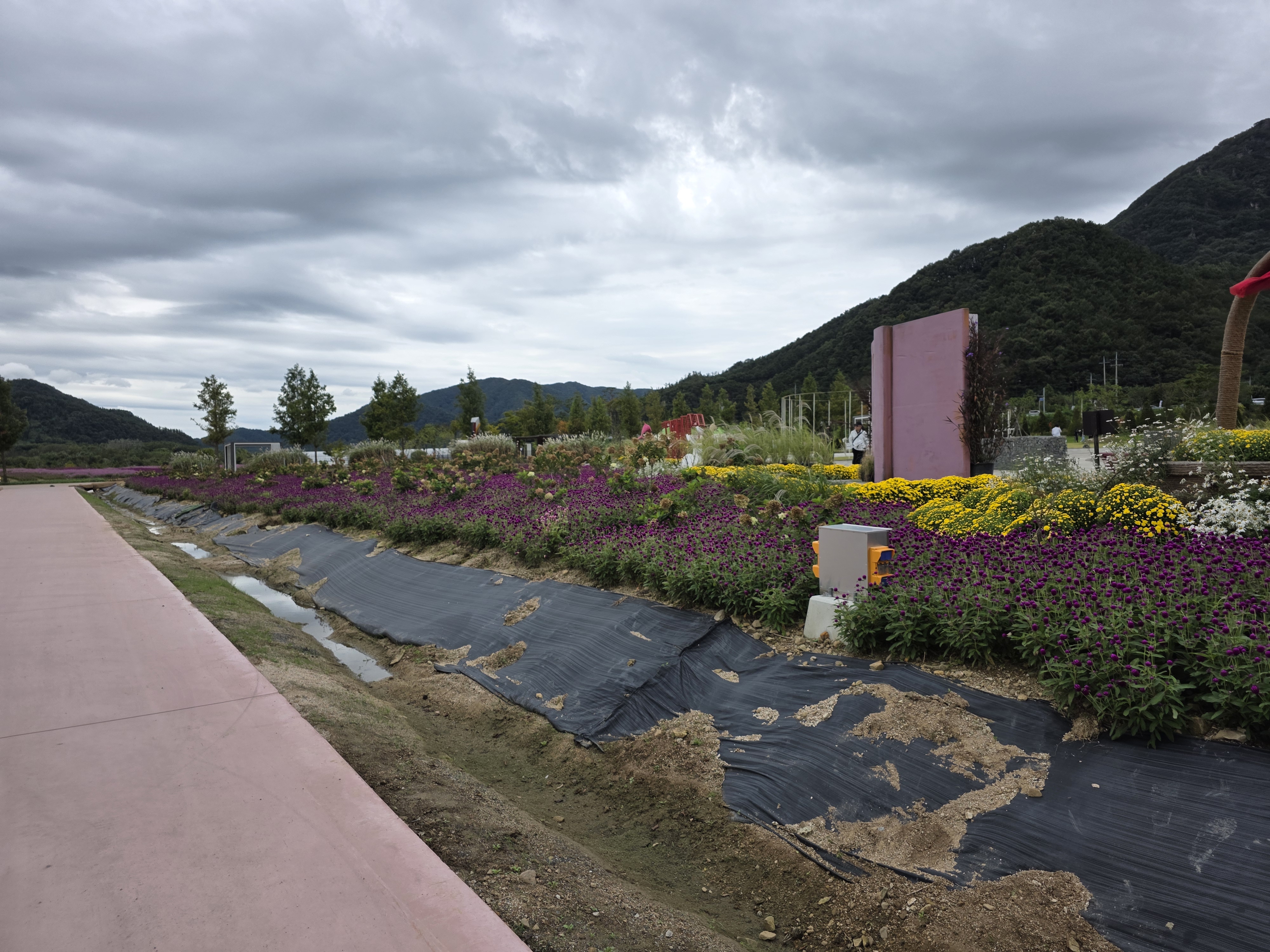 포천 한탕강 가든페스타 입장료 주차 드론 출렁다리 폭포 06