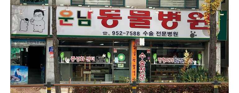 광주 광산구 동물병원