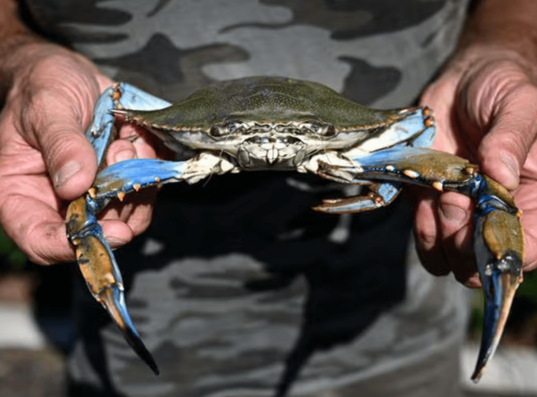 수산대전 상품권 구매방법 4월 제로페이