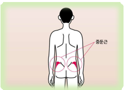 중둔군 위치