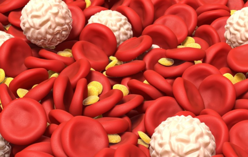 적혈구-RBC-헤모글로빈