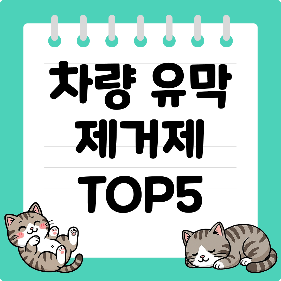 비 오는 날 필수 차량 유막 제거제 추천 순위 TOP5