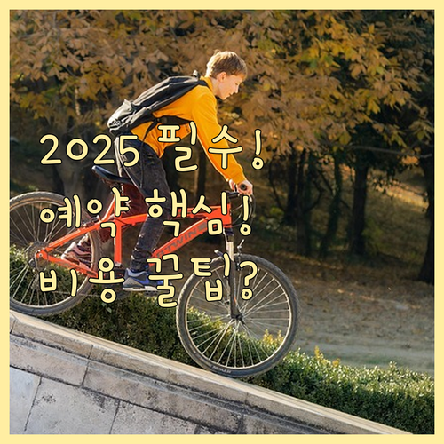2025 가족사진 예약 필수 시기 비..