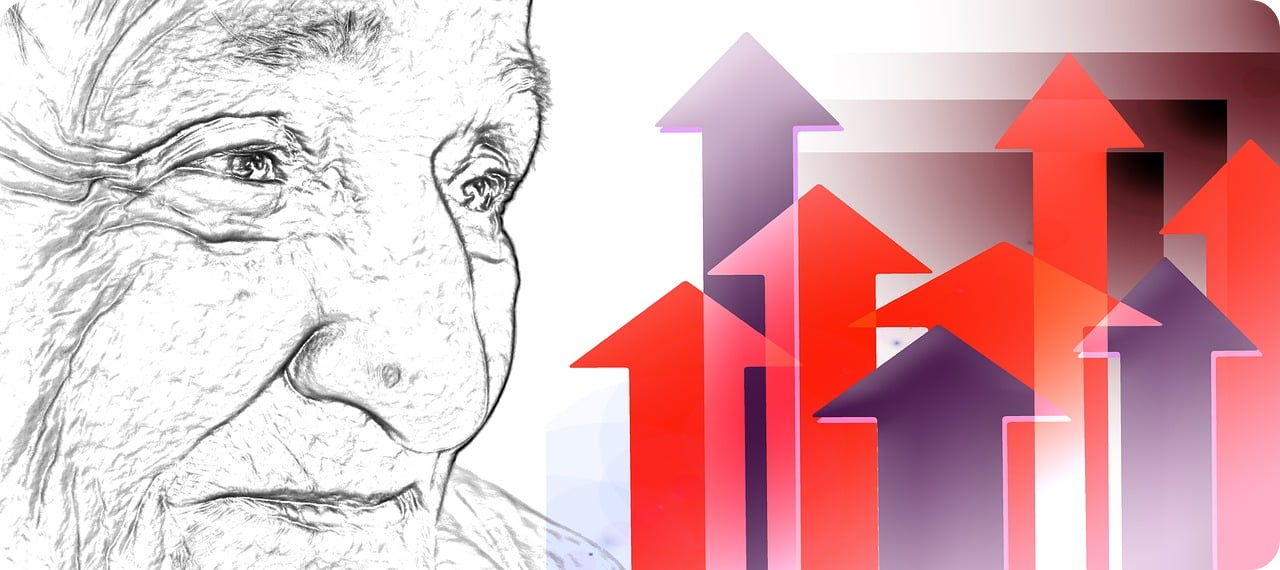 노령연금 수급자격