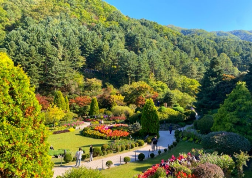 서울 근교 여행지, 가평의 아침고요수목원 사진