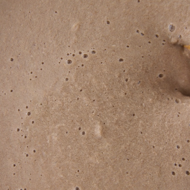 김성령 콩물 효능 및 부작용