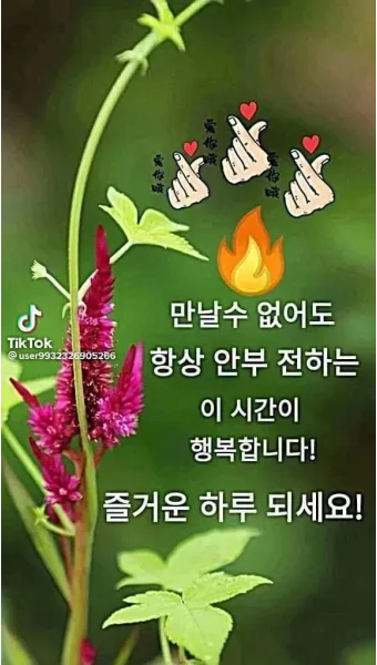 아침 인사 문자 날씨 변화에 맞춘 안부 문장 하루를 여는 표현_3