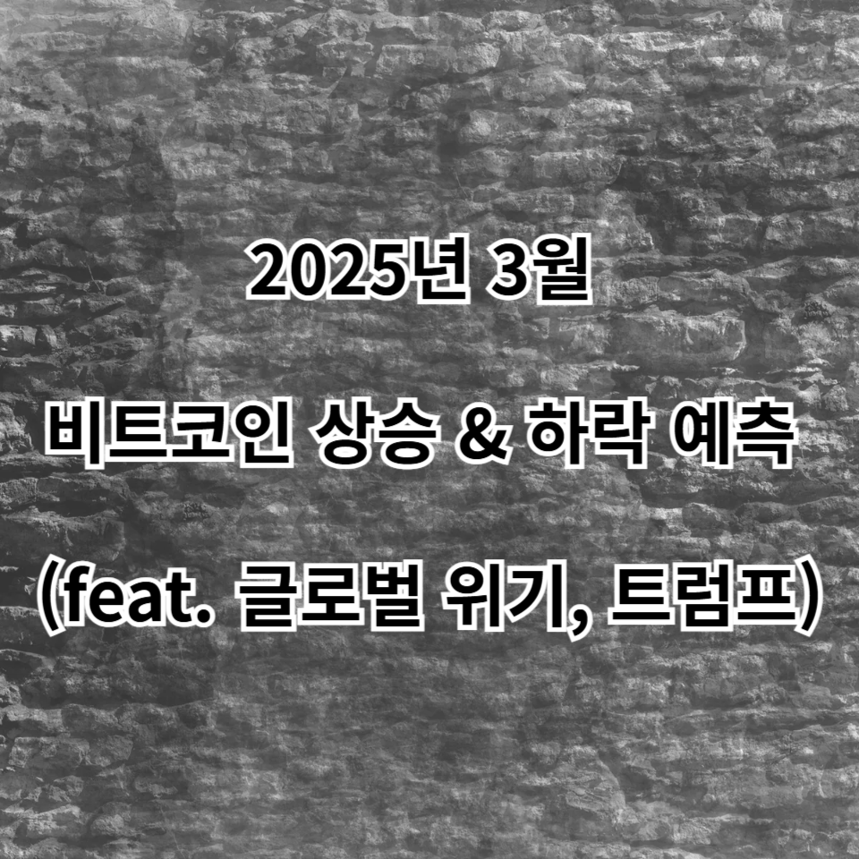 비트코인 상승 & 하락 예측