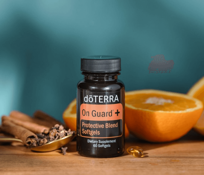 온가드 소프트젤