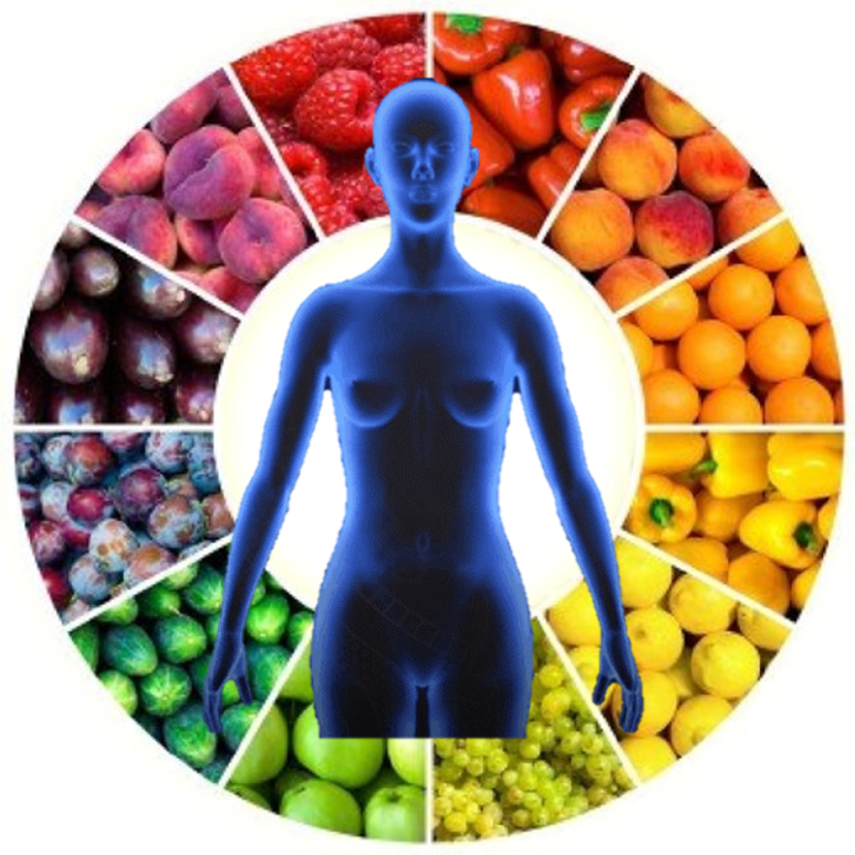 호르몬과 식물 영양소 파이토칼라