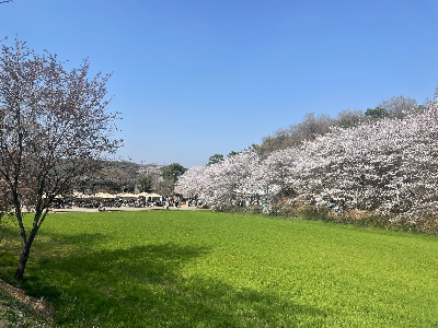 당진 카페피어라