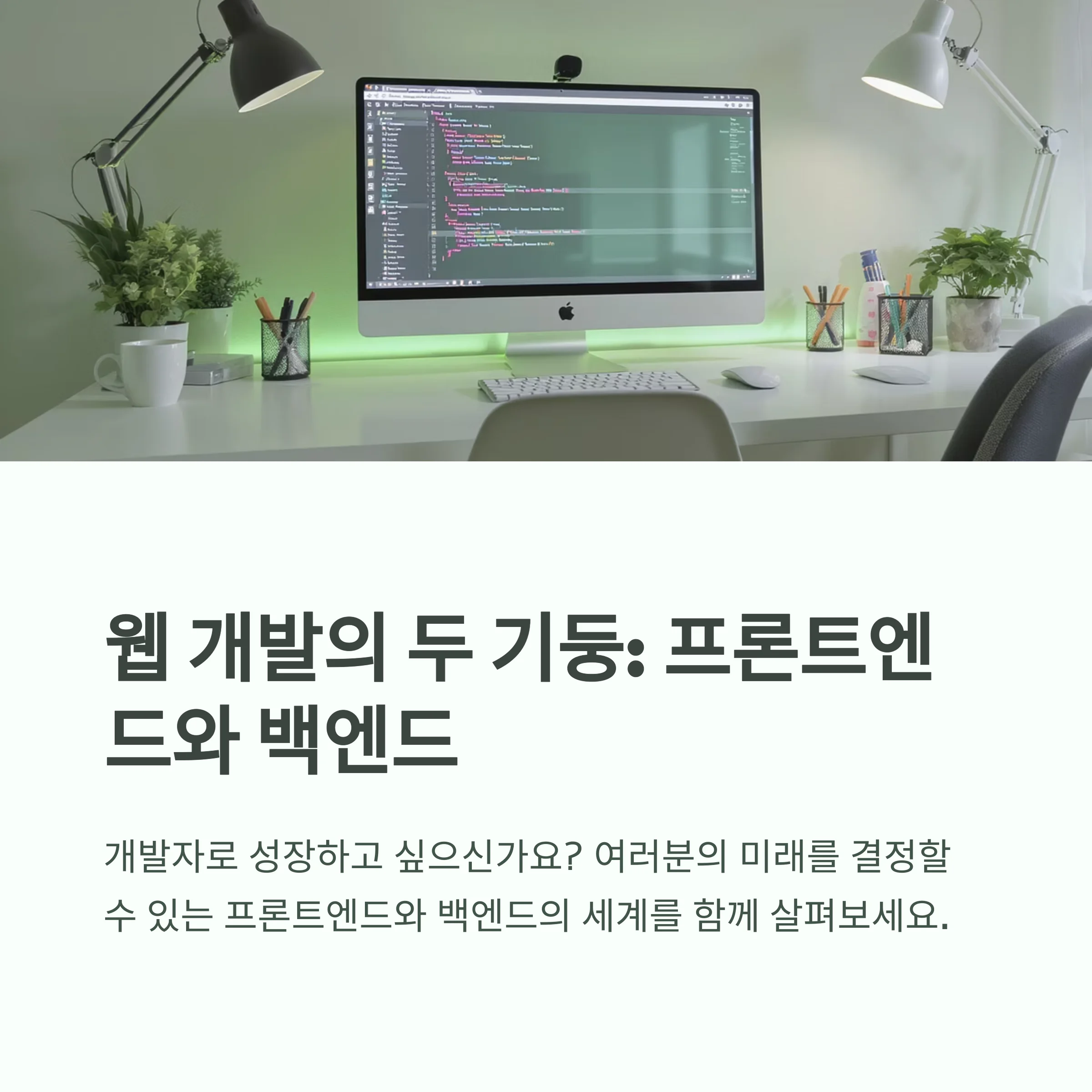 백엔드와 프론트엔드 차이 완전 정리