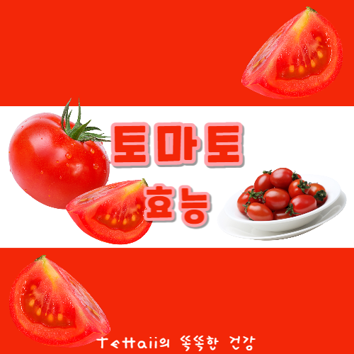 토마토 효능 대표 이미지