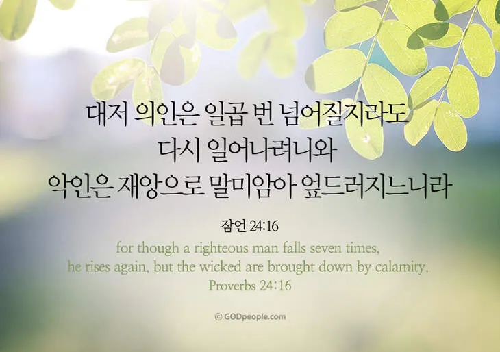 잠언 24장 솔로몬 잠언 묵상_5