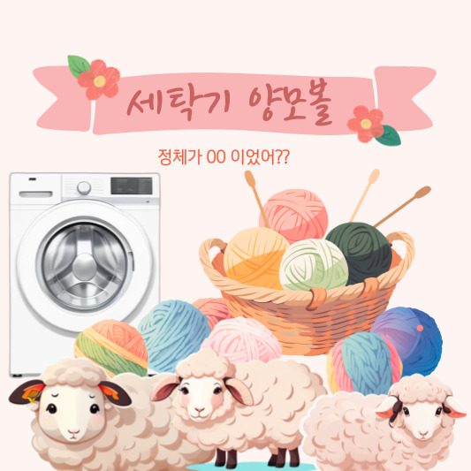 세탁기 양모볼