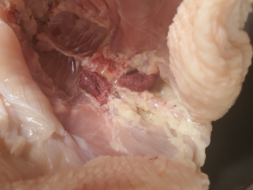 닭백숙 끓이는 법