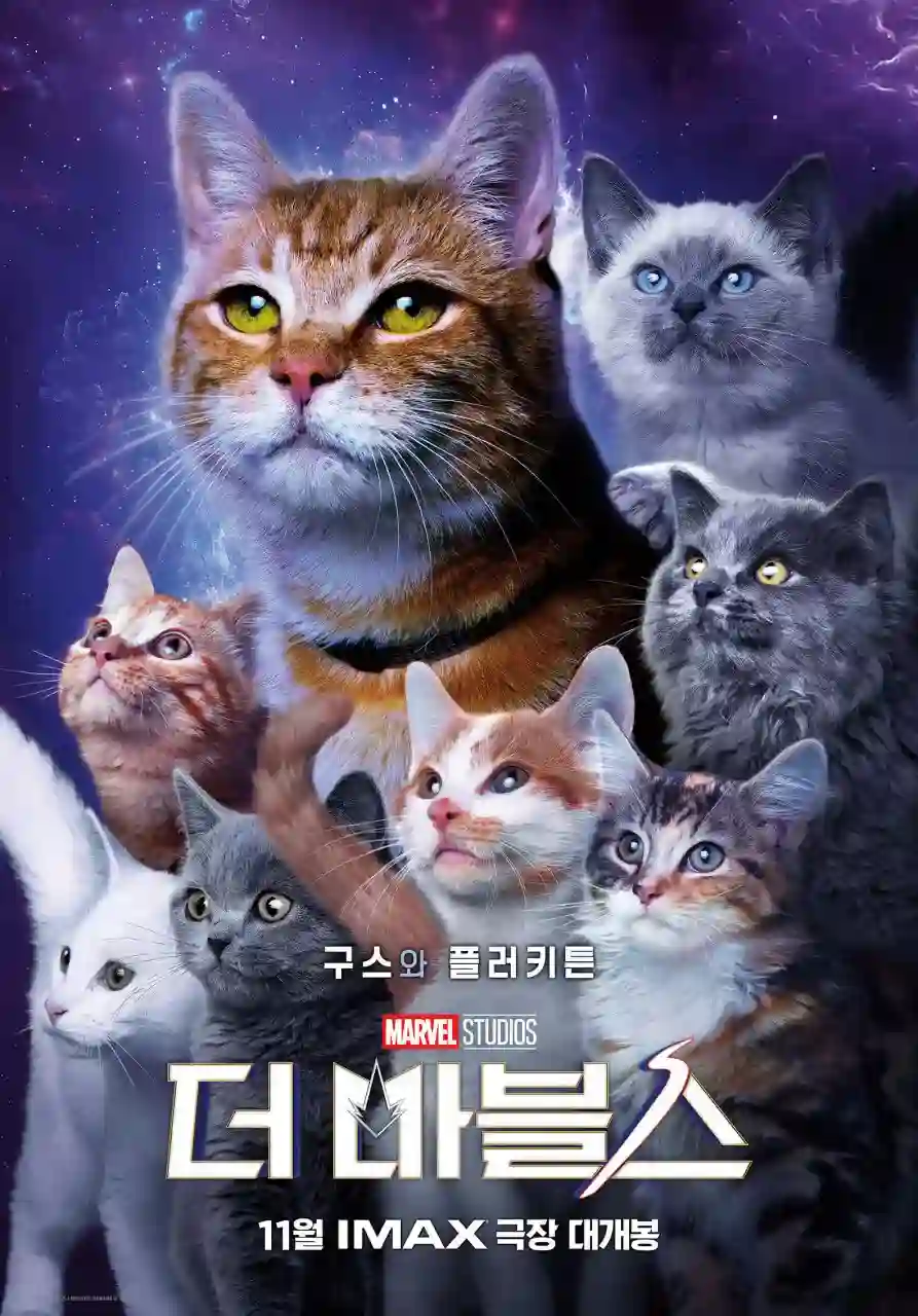 더마블스 신작 영화 리뷰 - 플러키튼 고양이 구스