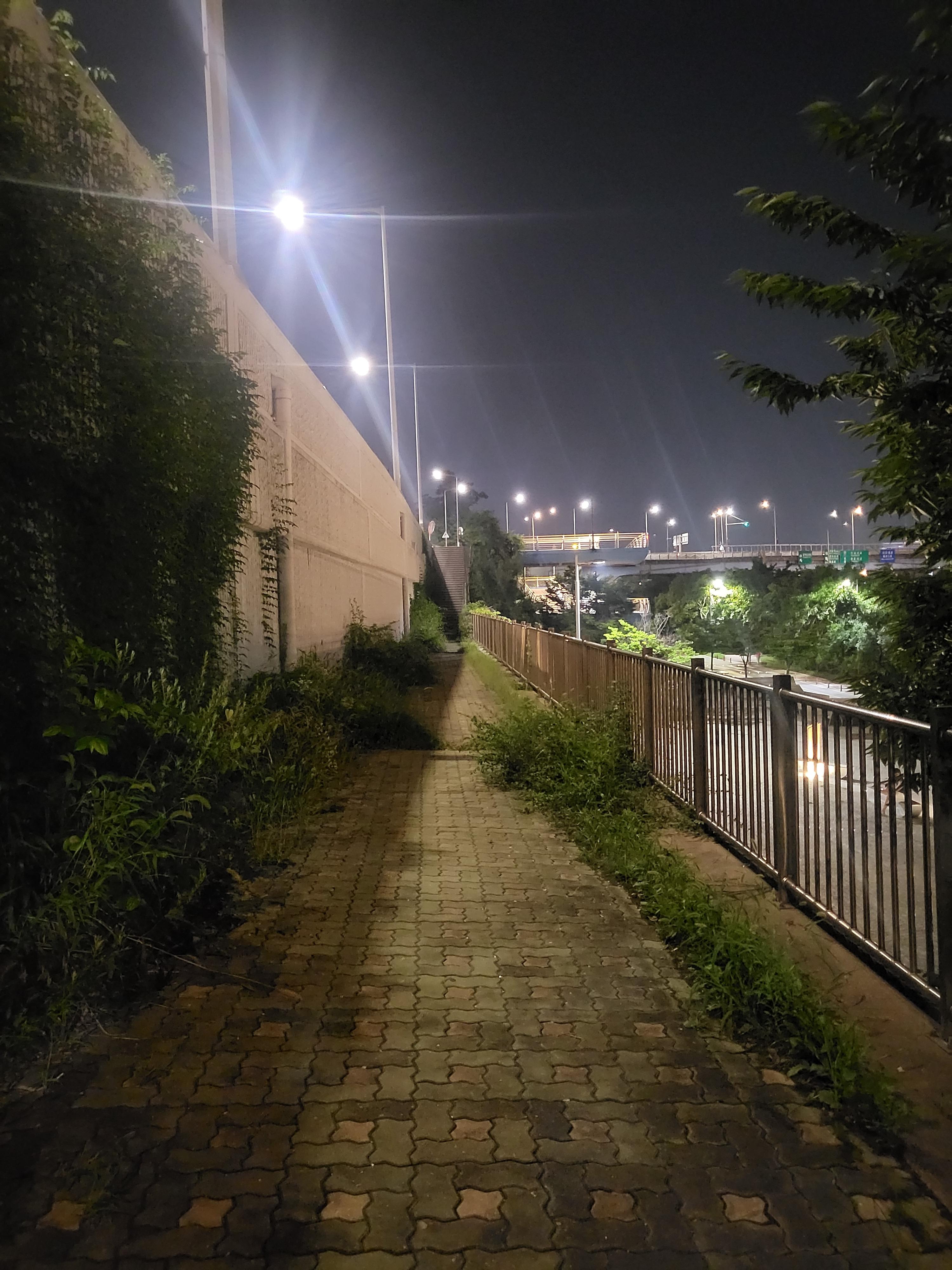 bridge2