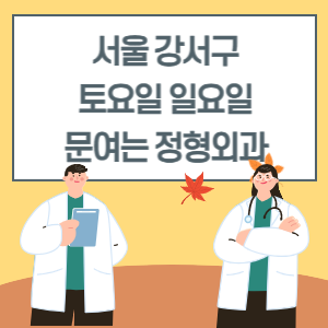 서울 강서구 토요일 일요일 정형외과 진료 병원 리스트