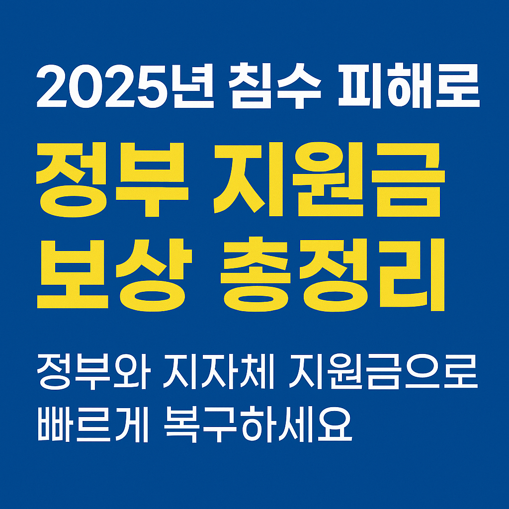 침수피해 정부 지원금