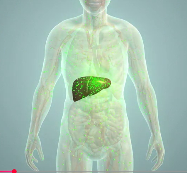 중성지방 정상수치