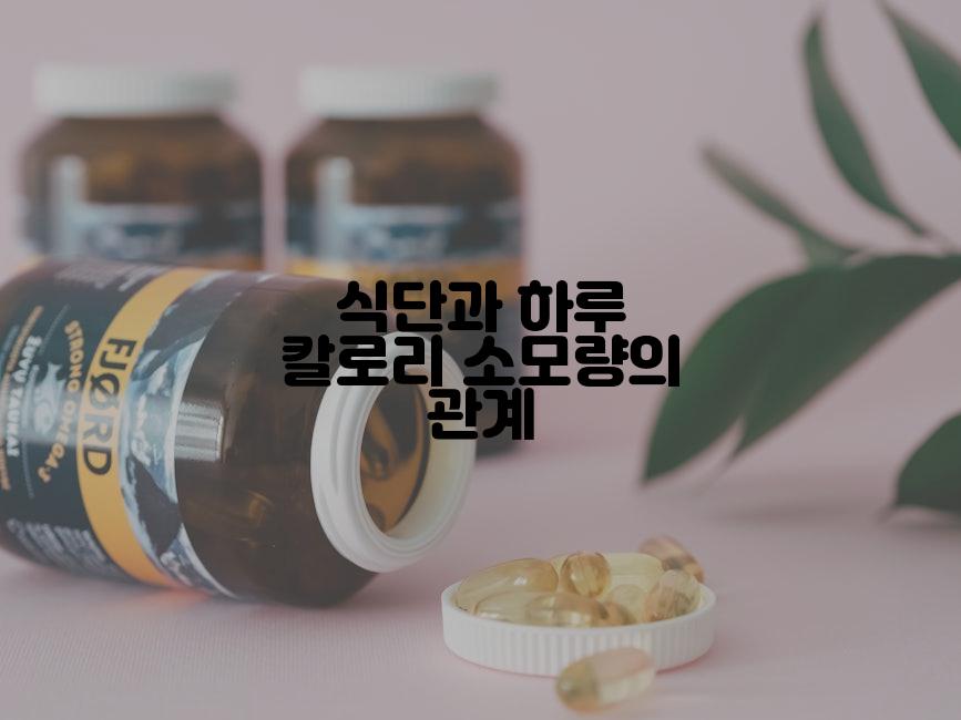 식단과 하루 칼로리 소모량의 관계