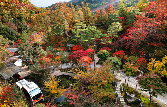 화담숲 예약