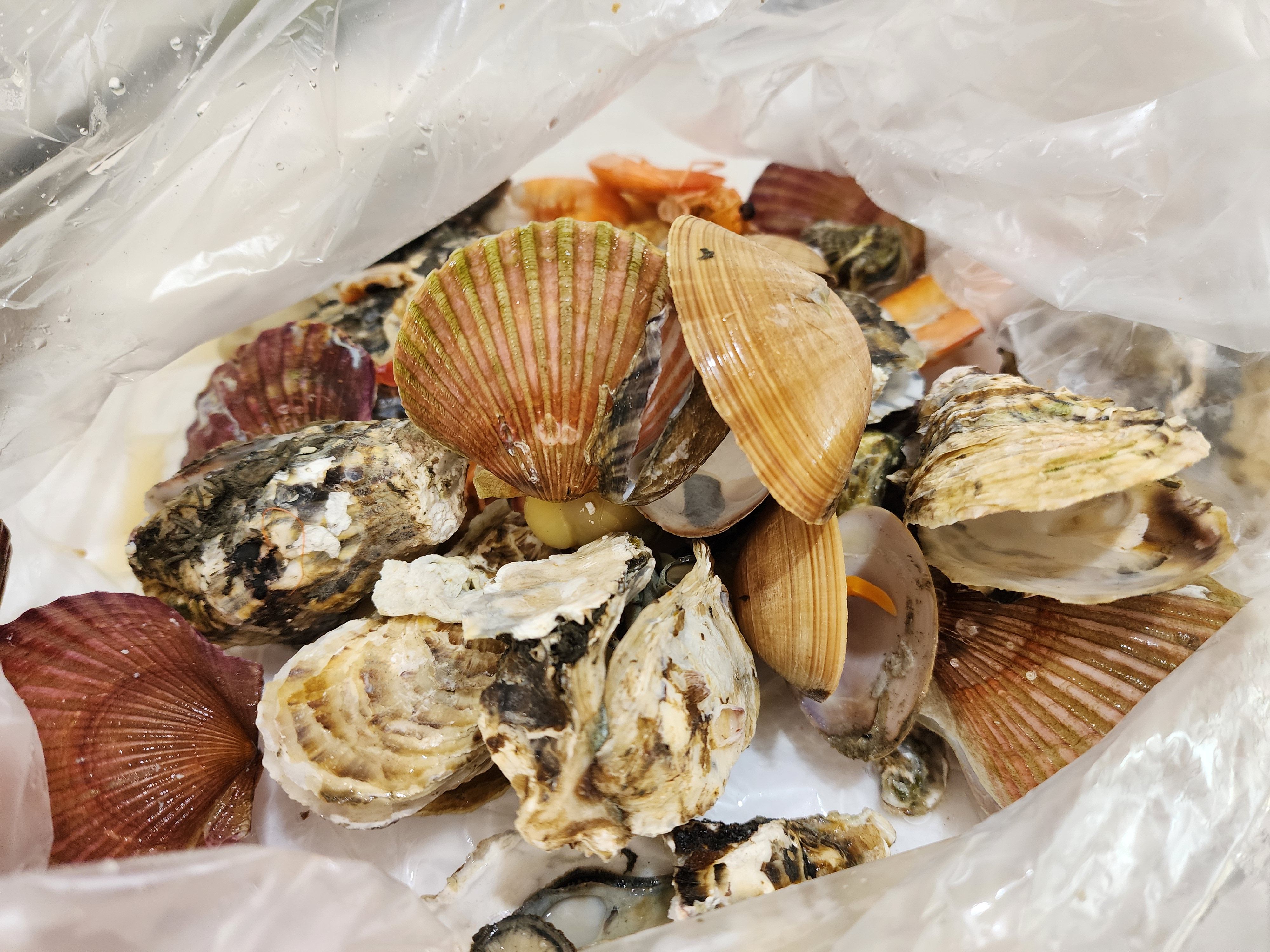 대게 시세, 대게 1키로 가격, 대게 싸게 먹는법