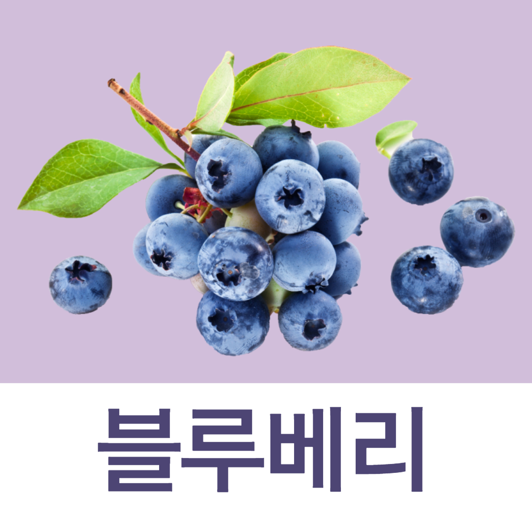 블루베리 효능 부작용 blueberry