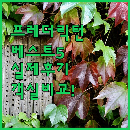 프레더릭턴 호텔 베스트 5 실제 투숙..