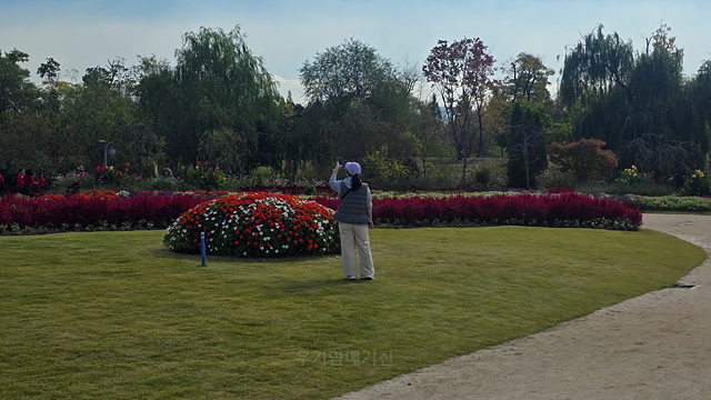 2025 순천만 국가정원 순천여행 맛집 현지인 추천 맛집 순천만 숙박