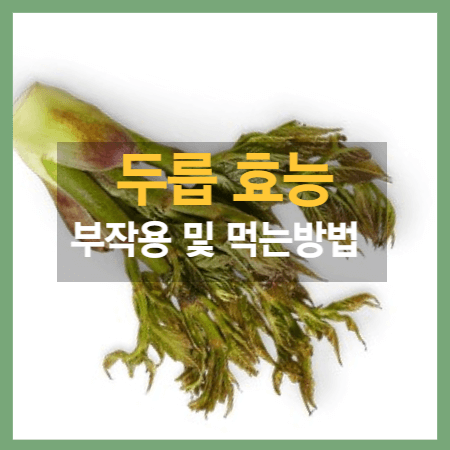 두릅효능 및 부작용,먹는방법