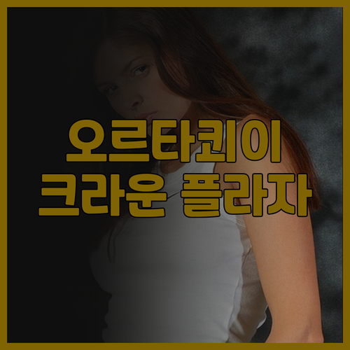 오르타쾨이 필수 숙소 Crowne P..
