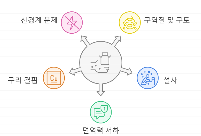 아연 과다