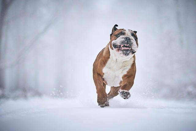 행복은 조건일까요, 해석일까요