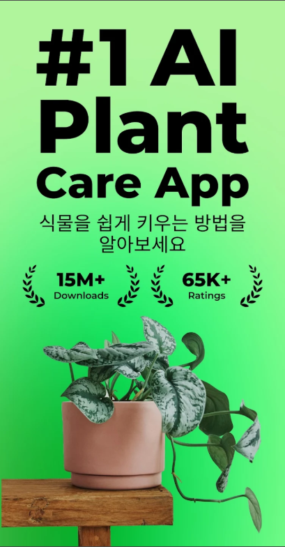 식물이름 찾기 무료 어플, 사진으로 꽃, 나무, 다육 식물, 버섯, 식물 즉시 식별 하기